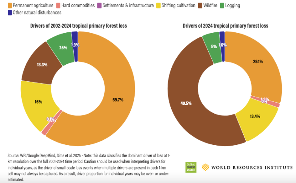 Figure 5 — World Resources Institute deforestation