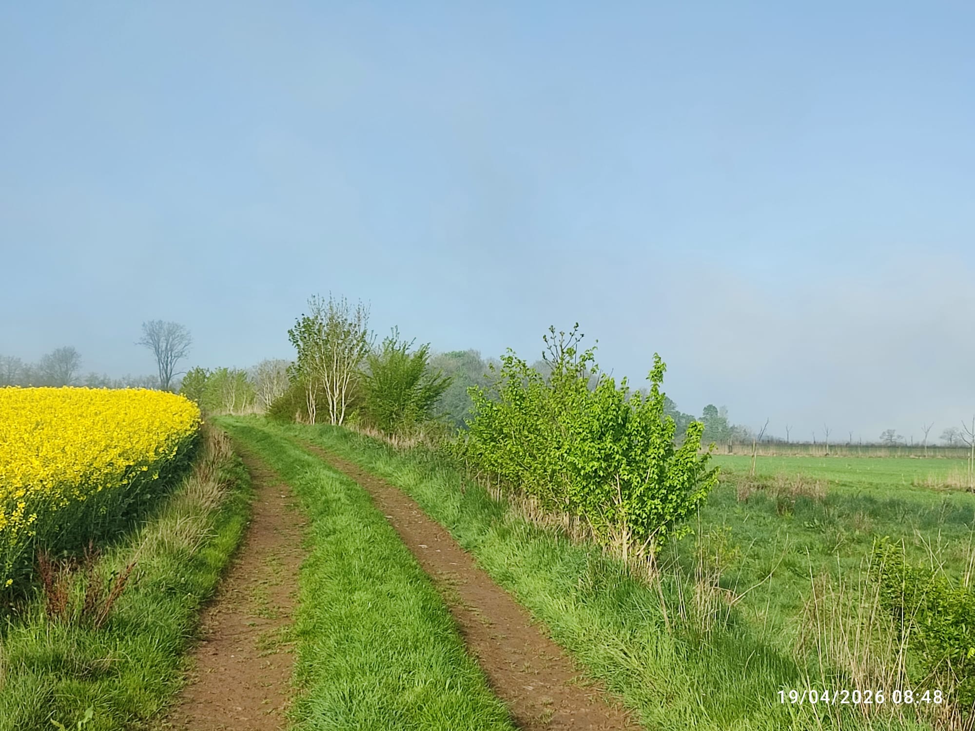 Forêt et champs européens
