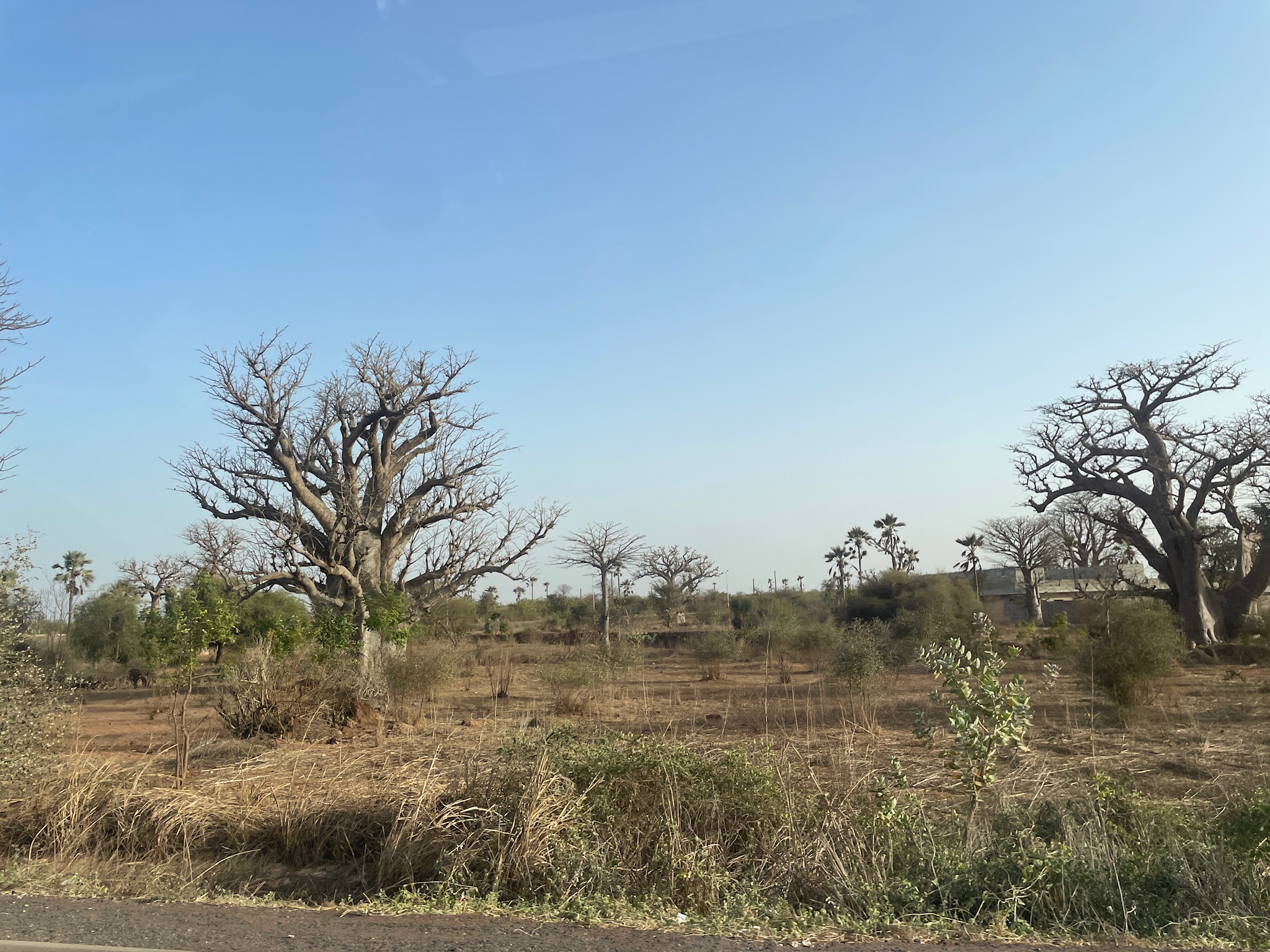 Projet Sénégal