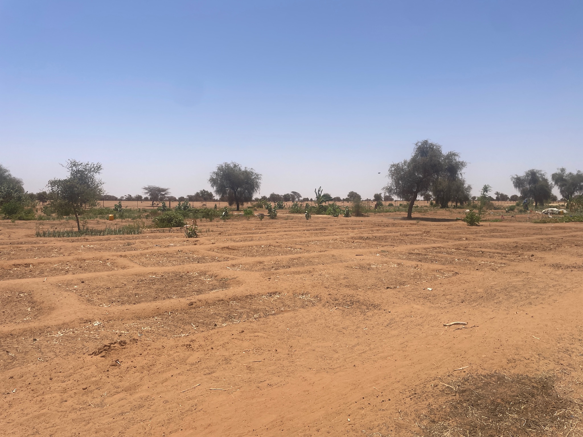 Projet Sénégal