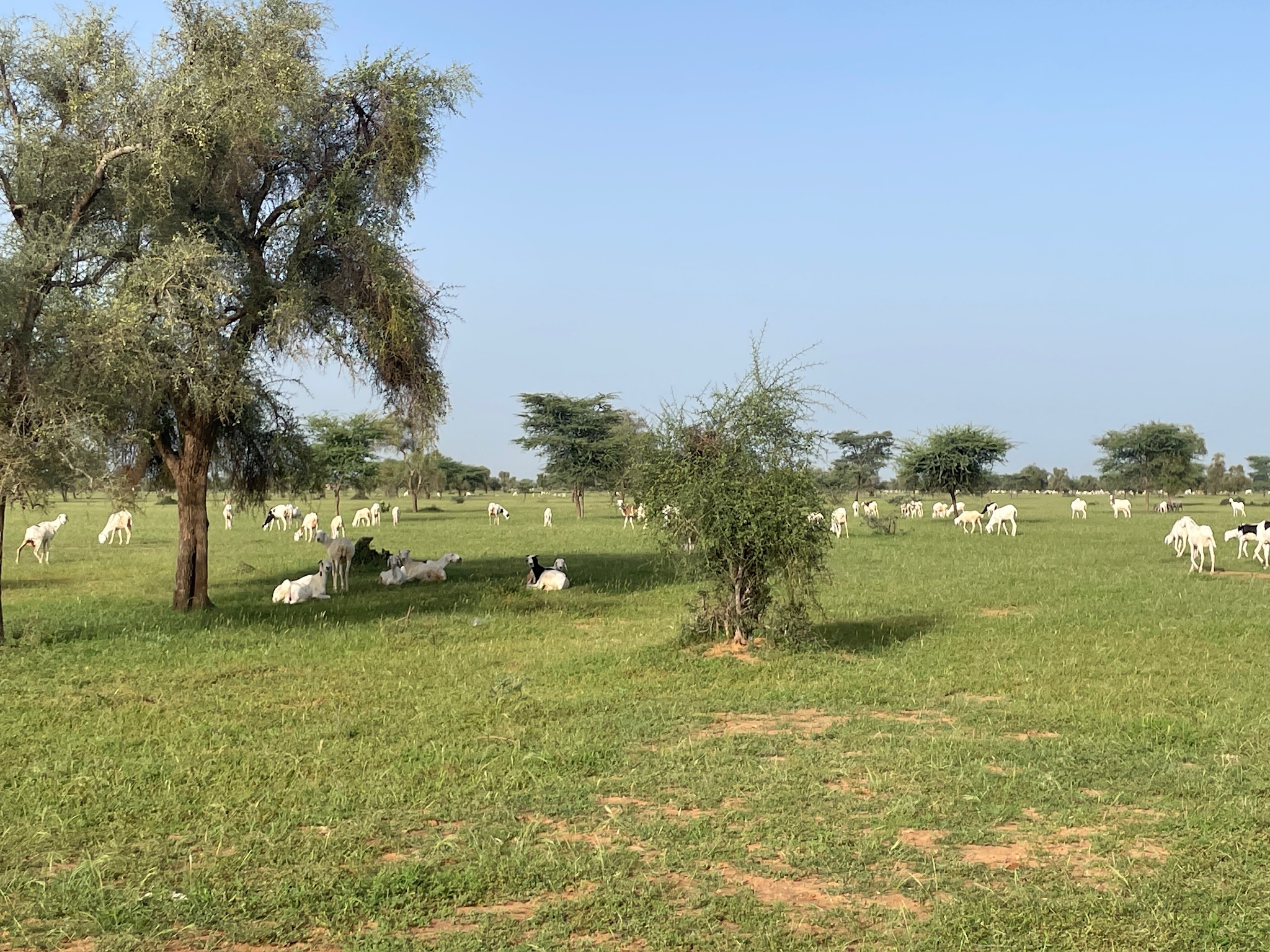 Projet Sénégal