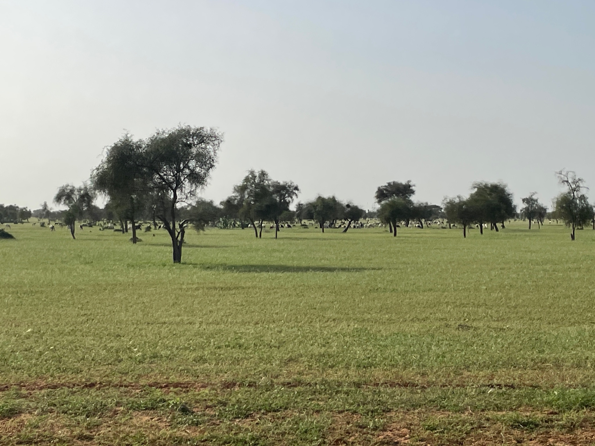 Projet Sénégal