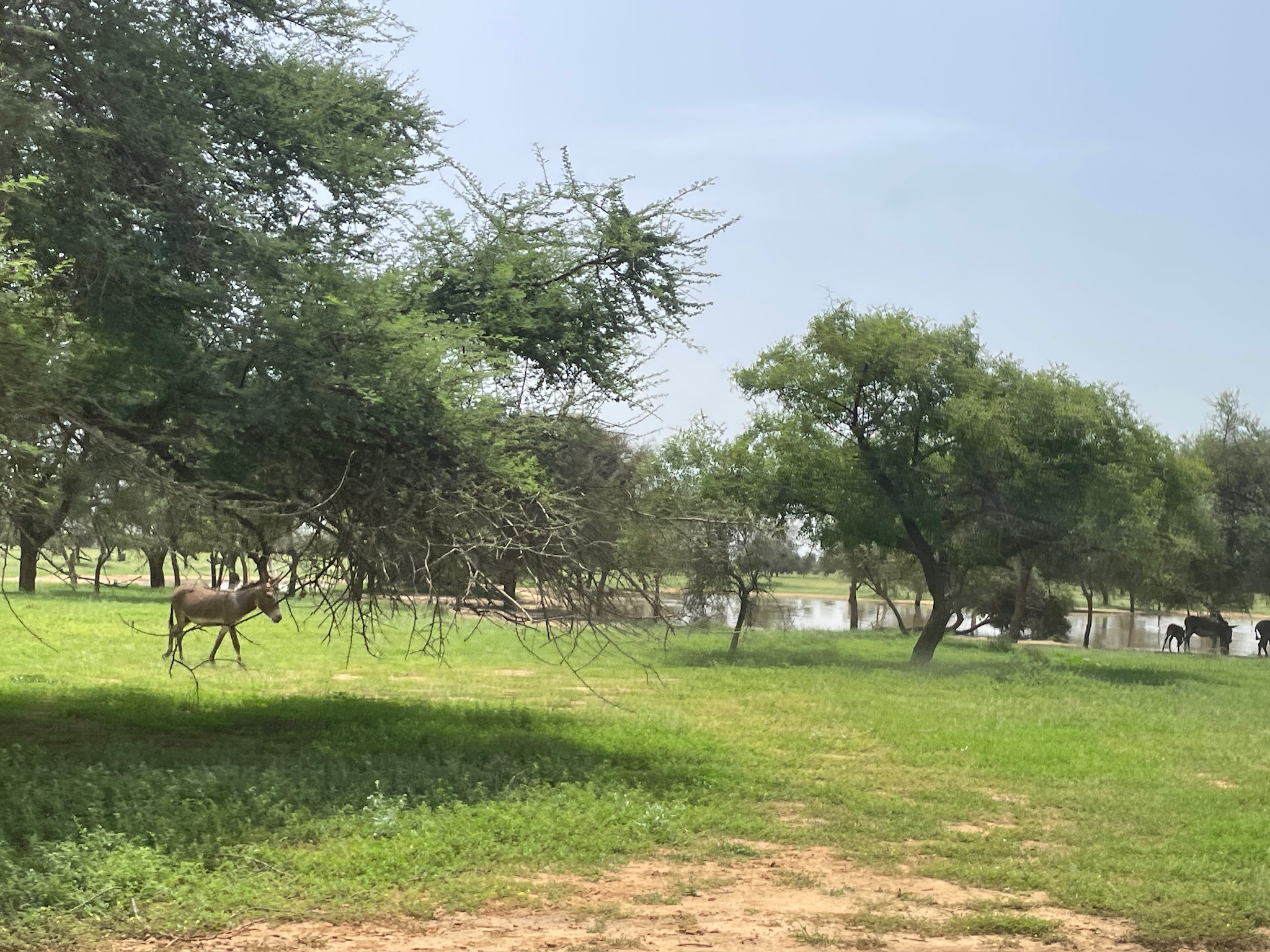 Projet Sénégal